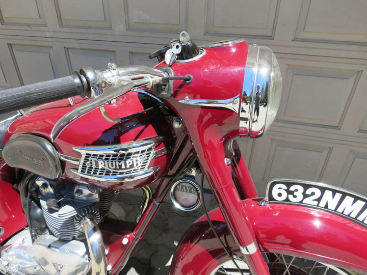 1962 Triumph 5TA Speed Twin – Castoro Collection — SOLD!