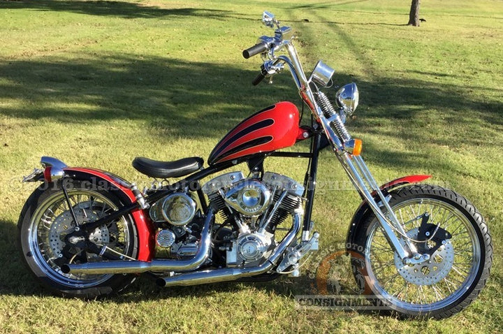 2007 Titan Custom Bobber