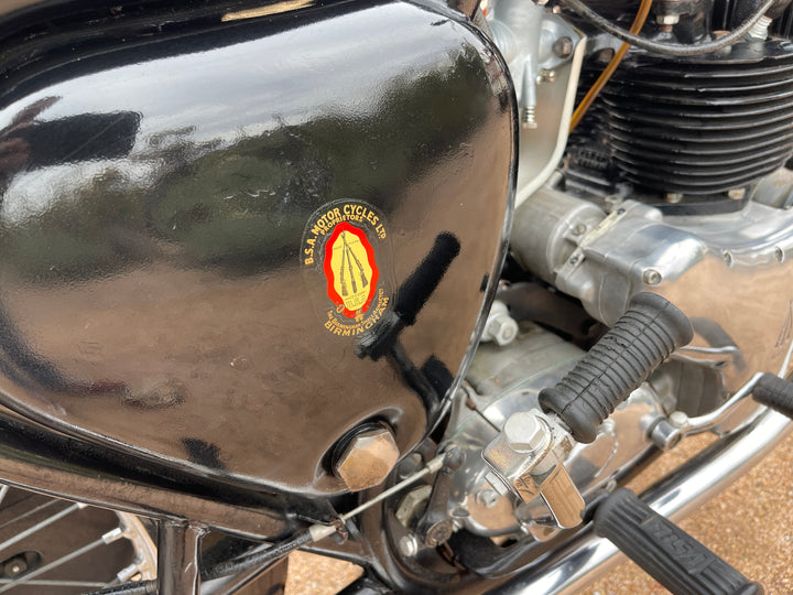 1959 BSA Golden Flash - Original Survivor