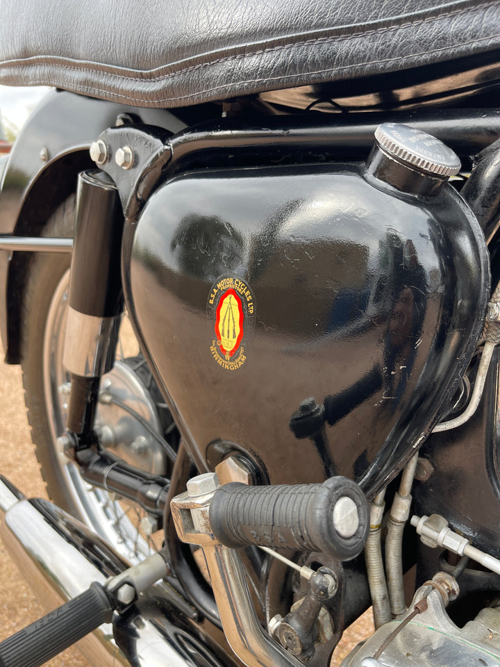 1959 BSA Golden Flash - Original Survivor